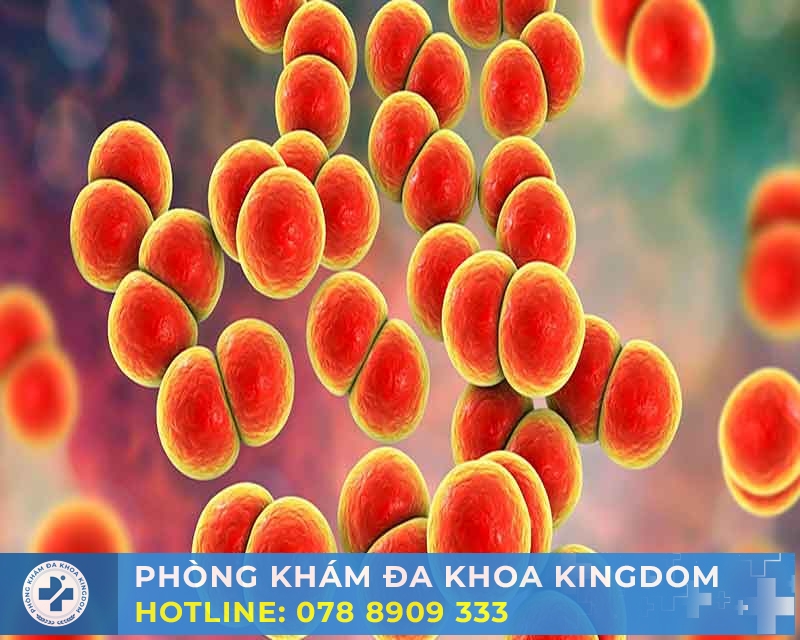 Hiểu về bệnh lậu: Cơ sở để tìm cách chữa trị hiệu quả