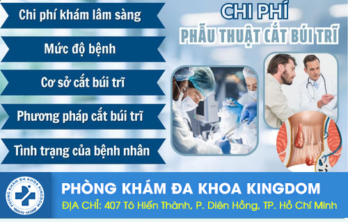 Chi phí cắt trĩ nội là bao nhiêu tiền?