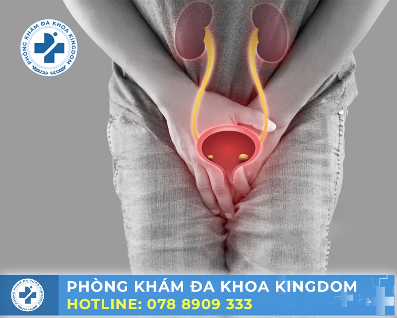 Điều trị nhiễm khuẩn tiết niệu chi phí tối ưu, hiệu quả cao