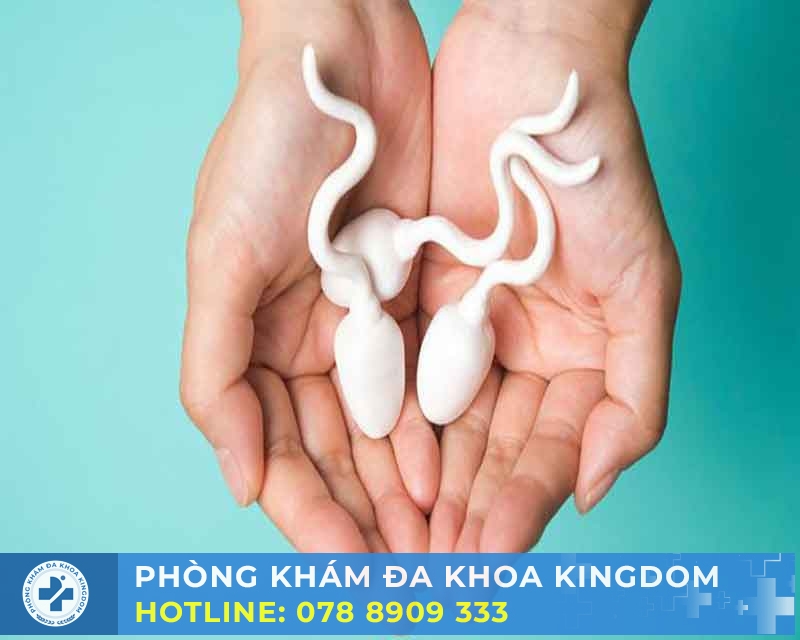 Xuất tinh sớm có thai không? Hiểu đúng để tránh lo lắng
