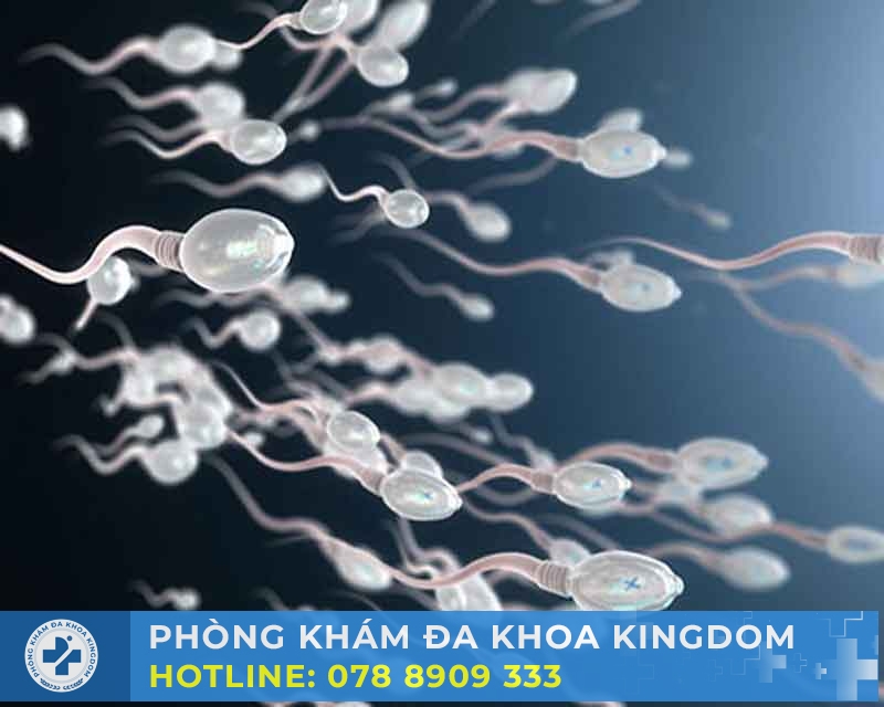 Xuất tinh sớm có phải tinh trùng yếu? Tư vấn điều trị tối ưu, chi phí tốt